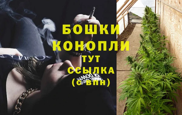 гидра Саяногорск